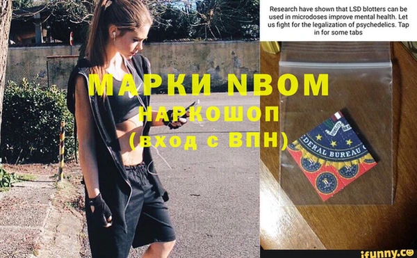 не бодяженный Бородино