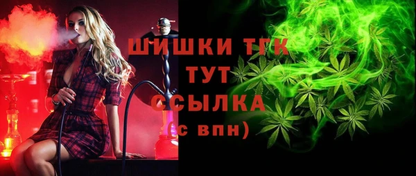 мдпв Бронницы