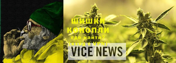 индика Покачи